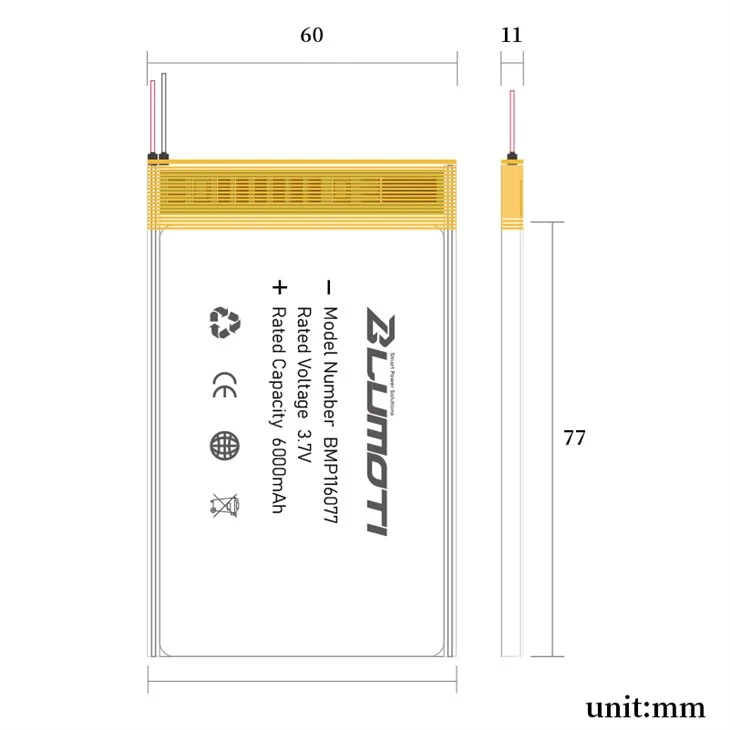 10000 lipo battery